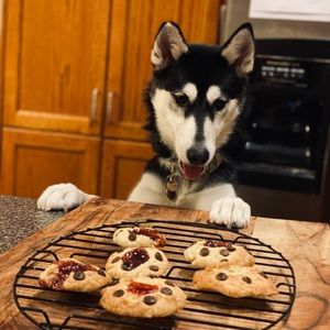 Meet your Posher, Grecia